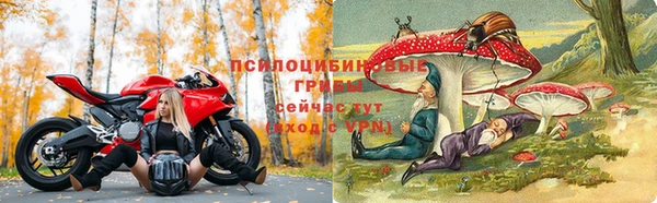 герыч Горняк