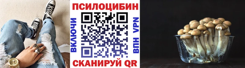это клад  Мценск  Галлюциногенные грибы Psilocybine cubensis 